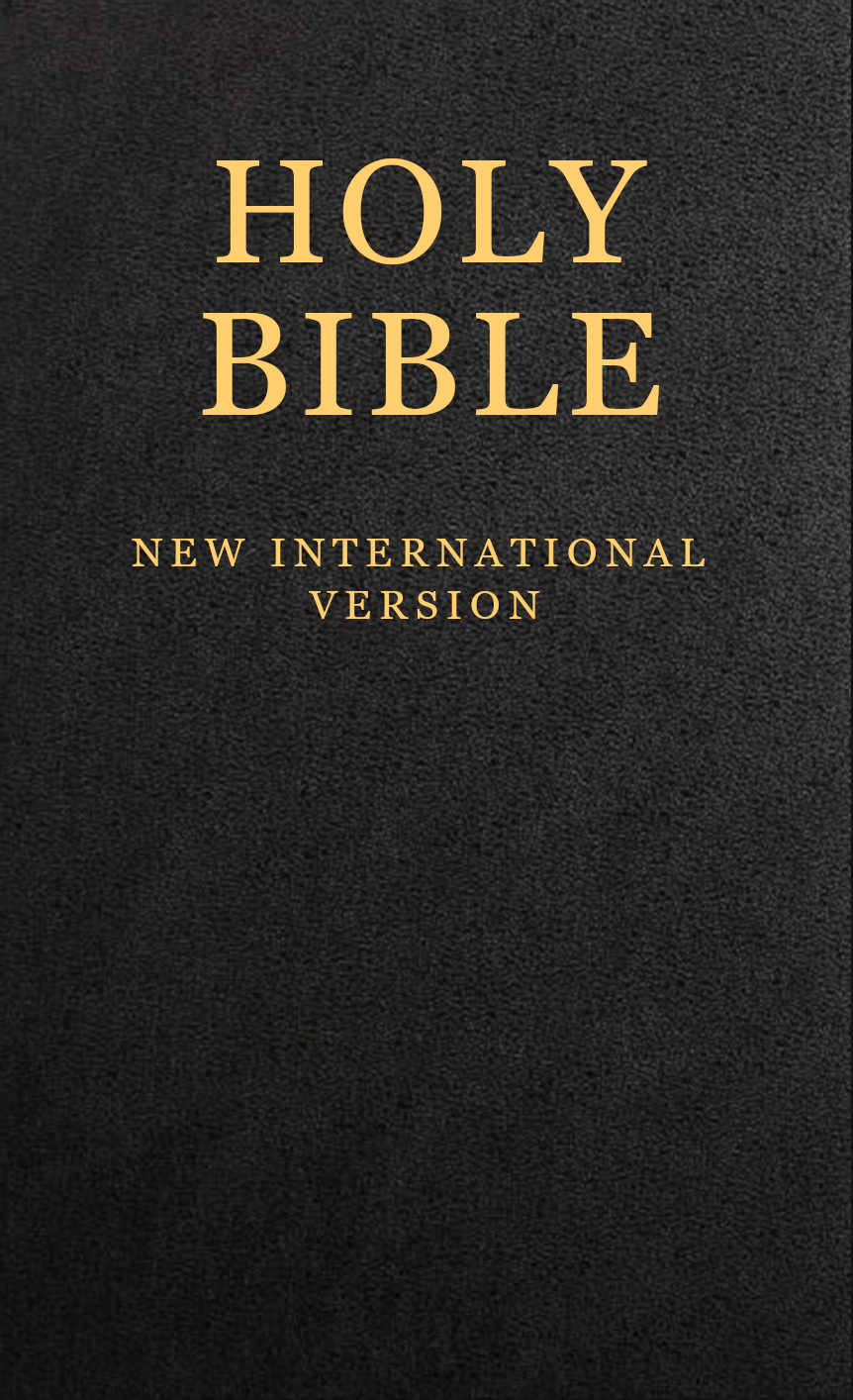 Holy Bible, New International Version (NIV)